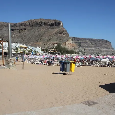 Brisas Mogan *
